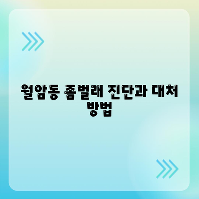 대구시 달서구 월암동 세스코 가격과 가정집 후기 | 비용, 신청 방법, 좀벌래 진단, 2024년 정보 제공