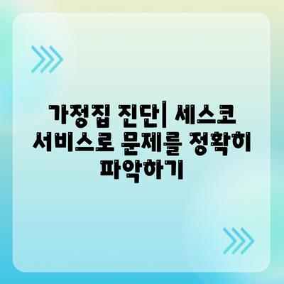 전라남도 여수시 삼일동 세스코 가격 및 후기를 통한 가정집 신청 가이드 | 비용, 진단, 원룸, 좀벌래 해결책 2024