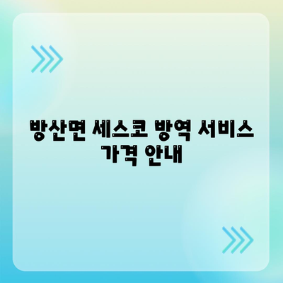 강원도 양구군 방산면 세스코 가격 및 가정집 후기| 좀벌래 해결을 위한 신청 방법과 비용 | 세스코, 방역, 원룸 진단 2024"