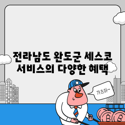 전라남도 완도군 노화읍 세스코 가격 및 서비스 안내 | 가정집 후기, 신청 방법, 진단, 좀벌래 해결 팁 2024