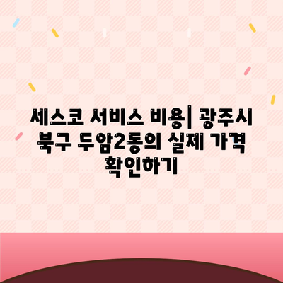 광주시 북구 두암2동의 세스코 가격 및 비용 안내 | 가정집 후기, 원룸 신청 방법, 좀벌래 해결책, 진단 정보 2024"