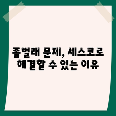 세종시 금남면 세스코 가격 및 가정집 후기 총정리 | 비용, 신청 방법, 효과적인 좀벌래 해결책 2024