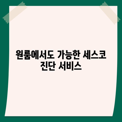 경상북도 고령군 성산면 세스코 가격과 가정집 후기| 좀벌래 해결을 위한 신청 방법과 비용 안내 | 세스코, 가정집, 원룸, 진단 2024"