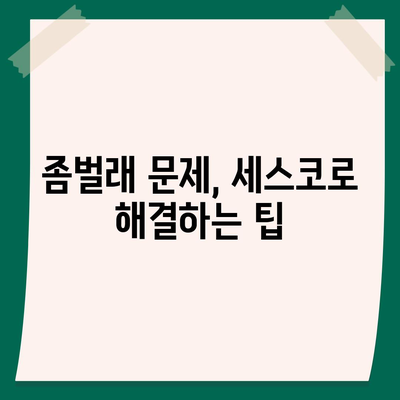 대구시 수성구 상동 세스코 가격 및 비용 | 2024 가정집 후기, 원룸 신청 및 진단 방법, 좀벌래 해결 팁