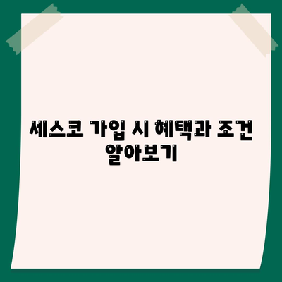 경기도 군포시 광정동 세스코 가격 및 가정집 후기 | 비용, 신청, 가입, 진단, 좀벌래 해결 방법 2024