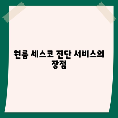 경상남도 사천시 서포면 세스코 가격 및 가입 방법 | 가정집 후기, 원룸 진단, 좀벌래 해결책 2024"