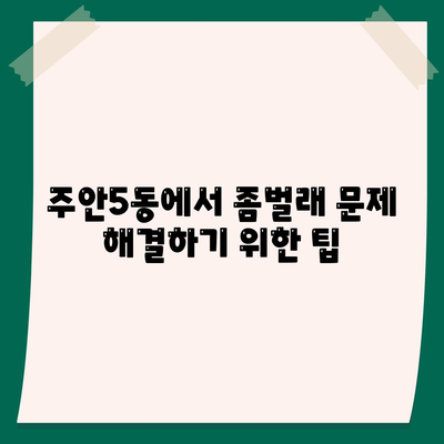 인천시 미추홀구 주안5동 세스코 가격 및 후기 2024 | 비용, 가정집 신청 방법, 좀벌래 해결 팁