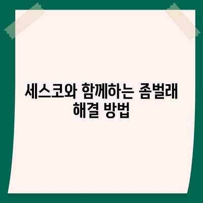 세종시 반곡동 세스코 가격 및 서비스 안내 | 가정집 후기, 원룸 신청, 좀벌래 해결 방법, 2024