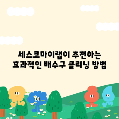 여름 위생 팁| 배수구클리너 명가 세스코마이랩의 추천 방법 | 여름철 청결, 위생 관리, 배수구 청소 팁