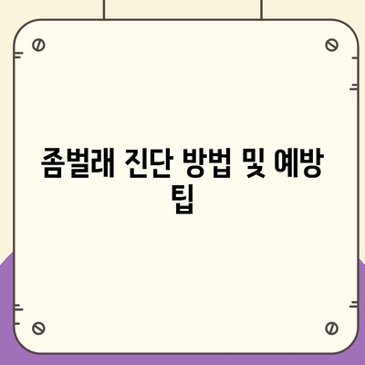 경기도 평택시 평택동 세스코 가격 및 가정집 후기 | 원룸 신청 방법, 비용, 좀벌래 진단, 2024년 최신 정보