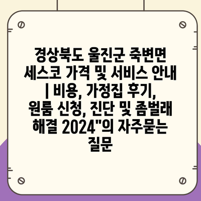 경상북도 울진군 죽변면 세스코 가격 및 서비스 안내 | 비용, 가정집 후기, 원룸 신청, 진단 및 좀벌래 해결 2024"