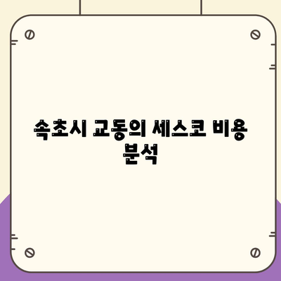 강원도 속초시 교동 세스코 가격 및 비용 | 가정집 후기, 원룸 신청 방법, 좀벌래 진단 2024 | 세스코, 해충방제, 후기