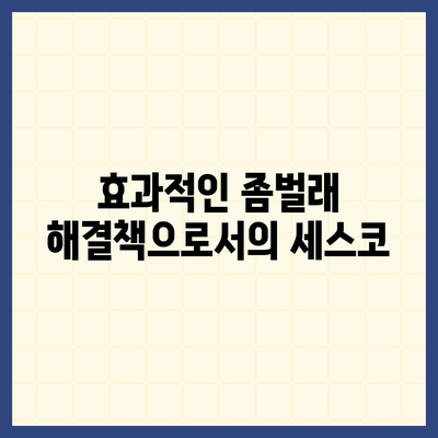 경기도 양주시 남면 세스코 가격 및 후기 총정리 | 가정집, 원룸, 신청 방법, 좀벌래 해결책 2024