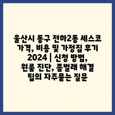 울산시 동구 전하2동 세스코 가격, 비용 및 가정집 후기 2024 | 신청 방법, 원룸 진단, 좀벌래 해결 팁