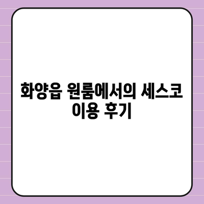 경상북도 청도군 화양읍 세스코 가격과 비용 가이드 | 가정집 후기, 원룸 신청 및 좀벌래 해결책 2024