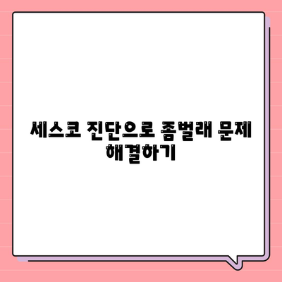 제주도 제주시 조천읍 세스코 가격 및 서비스 가이드 | 비용, 가정집 후기, 원룸 신청, 진단, 좀벌래 해결책 2024