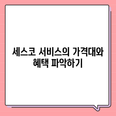 2024 경기도 오산시 원동 세스코 가격 및 비용 가이드 | 가정집 후기, 원룸 신청, 진단, 좀벌래 해결책"