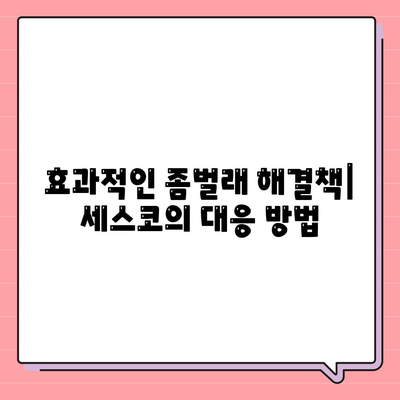 전라남도 해남군 문내면 세스코 가격 및 서비스 가이드 | 비용, 가정집 후기, 신청 방법, 좀벌래 해결책 2024