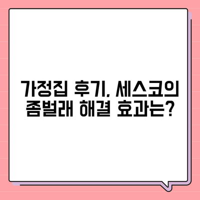 부산시 사하구 구평동 세스코 가격 및 가정집 후기| 좀벌래 해결을 위한 필수 정보 | 비용, 신청, 진단, 원룸, 가입, 2024