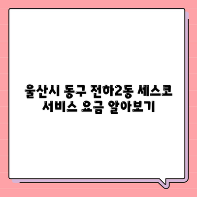 울산시 동구 전하2동 세스코 가격, 비용 및 가정집 후기 2024 | 신청 방법, 원룸 진단, 좀벌래 해결 팁