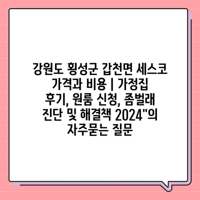 강원도 횡성군 갑천면 세스코 가격과 비용 | 가정집 후기, 원룸 신청, 좀벌래 진단 및 해결책 2024"