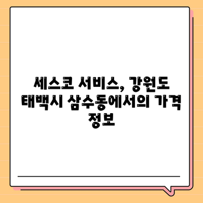 강원도 태백시 삼수동 세스코 서비스 가격 및 후기 | 비용, 신청 방법, 가정집 진단, 좀벌래 해결책 2024