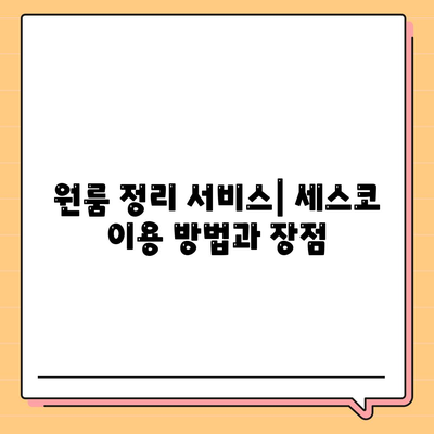 전라남도 보성군 조성면 세스코 가격 및 서비스 가이드 | 비용, 가정집 후기, 원룸 정리, 신청 방법, 좀벌래 대응 | 2024