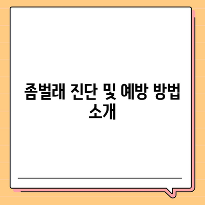 강원도 양양군 손양면 세스코 서비스 가격 및 비용 안내 | 가정집 후기, 원룸 신청 방법, 좀벌래 진단 2024