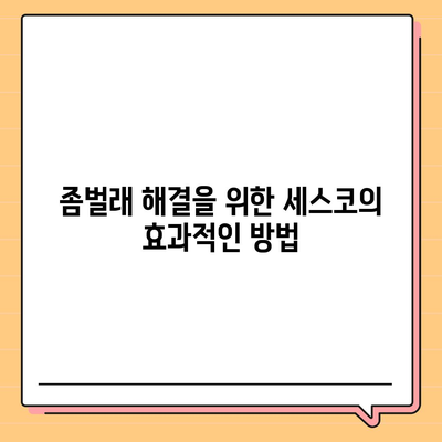 경상북도 청도군 화양읍 세스코 가격과 비용 가이드 | 가정집 후기, 원룸 신청 및 좀벌래 해결책 2024