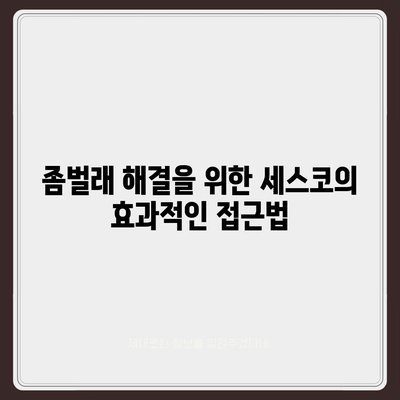 부평구 부개2동 세스코 가격과 가정집 후기 총정리 | 비용, 신청, 가입, 원룸, 좀벌래 해결 팁 2024