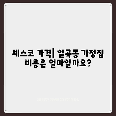 광주시 북구 일곡동 세스코 가격 및 서비스 후기 | 비용, 가정집 신청 방법, 좀벌래 해결 팁 2024