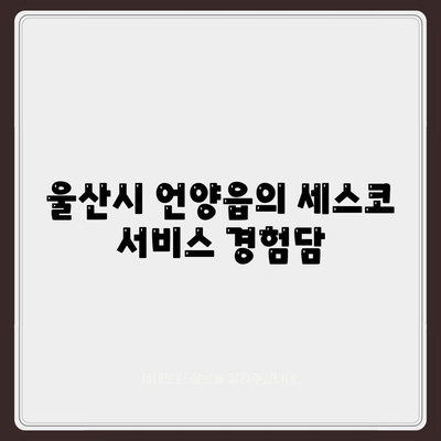 울산시 울주군 언양읍 세스코 가정집 후기 및 가격 정보 | 비용, 신청, 진단, 좀벌래 해결책 2024