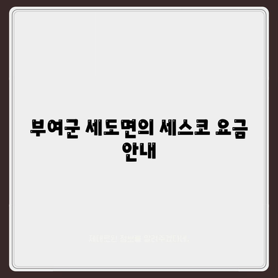 충청남도 부여군 세도면 세스코 가격 및 후기 완벽 가이드 | 비용, 신청 방법, 좀벌래 해결책 2024