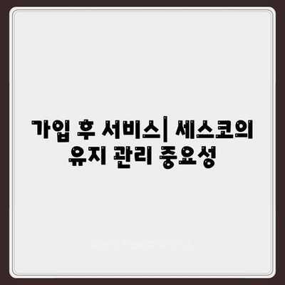 광주시 서구 금호2동 세스코 가격 및 비용, 가정집 후기 완벽 가이드 | 신청, 가입, 진단, 좀벌래 해결책 2024