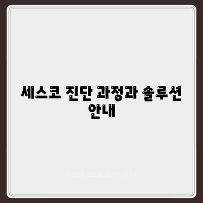 대전시 동구 용전동 세스코 가격 및 서비스 후기 가이드 | 비용, 가정집, 원룸, 진단, 좀벌래 해결책 2024