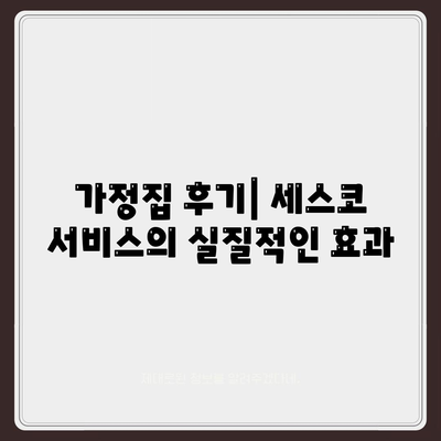 충청남도 부여군 세도면 세스코 가격 및 가정집 후기 | 비용, 신청, 진단, 원룸, 좀벌래 해결법 2024