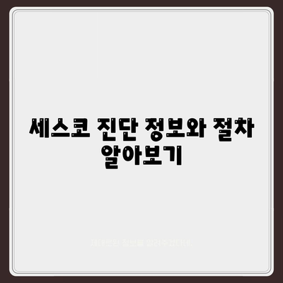 충청북도 제천시 용두동 세스코 가격 및 비용 안내 | 가정집 후기, 원룸 신청 방법, 진단 정보, 좀벌래 해결책 2024"