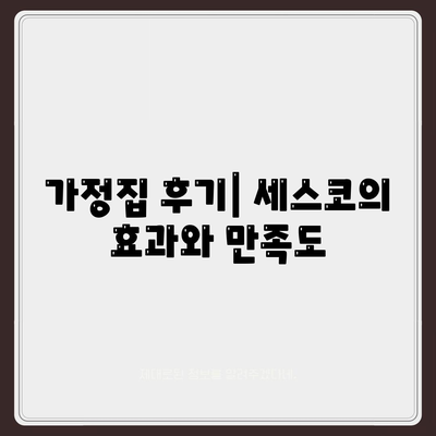 대전시 대덕구 목상동 세스코 가격 및 가정집 후기 | 비용, 신청 방법, 좀벌래 해결 팁 2024"