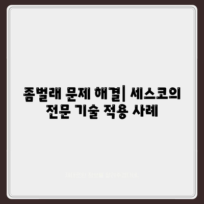 2024 울산시 동구 일산동 세스코 가격 및 서비스 가이드 | 비용, 가정집 후기, 원룸, 신청 방법, 좀벌래 해결책"