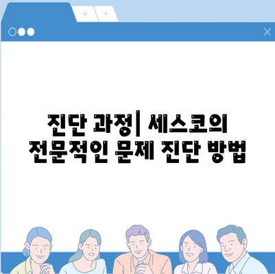 서울시 동작구 상도제2동 세스코 비용과 가정집 후기 알아보기 | 가격, 신청 방법, 진단, 좀벌래 해결책 2024