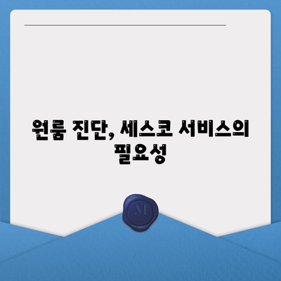 2024년 충청남도 공주시 이인면 세스코 가격 및 후기 | 비용, 가정집, 원룸 진단, 좀벌래 해결방법