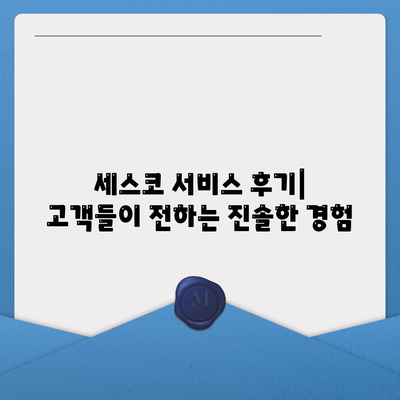 강원도 태백시 삼수동 세스코 서비스 가격 및 후기 | 비용, 신청 방법, 가정집 진단, 좀벌래 해결책 2024