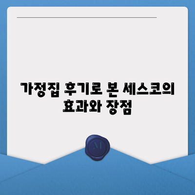 충청북도 제천시 용두동 세스코 가격 및 비용 안내 | 가정집 후기, 원룸 신청 방법, 진단 정보, 좀벌래 해결책 2024"