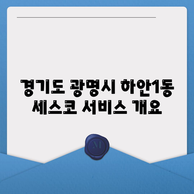 경기도 광명시 하안1동 세스코 가격 및 가정집 후기 | 신청 방법, 원룸 관리, 좀벌래 해결책 2024