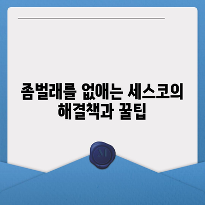 대전시 서구 만년동 세스코 가격 및 가정집 후기 2024 | 비용, 원룸, 신청, 좀벌래 해결책