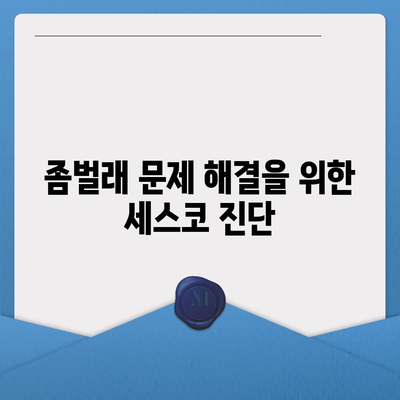 세스코 대구시 달서구 신당동 가격 및 가정집 후기 | 비용, 신청, 진단, 원룸, 좀벌래 해결책 2024