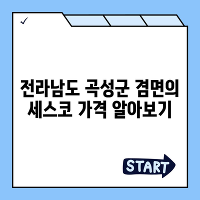 전라남도 곡성군 겸면 세스코 가격 및 가정집 후기 완벽 가이드 | 비용, 원룸 신청, 진단 및 좀벌래 해결책 2024