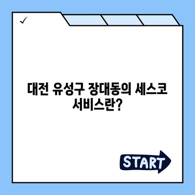 대전시 유성구 장대동 세스코 가격 및 서비스 신청 가이드 | 비용, 후기, 좀벌래 해결책 2024