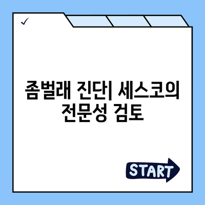 대전시 동구 용전동에서의 세스코 가격 및 후기 총정리 | 비용, 가정집 후기, 원룸 신청 방법, 좀벌래 진단 2024