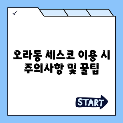 2024년 제주도 제주시 오라동 세스코 가격 및 비용 가이드 | 가정집 후기, 원룸 신청, 진단, 좀벌래 해결책